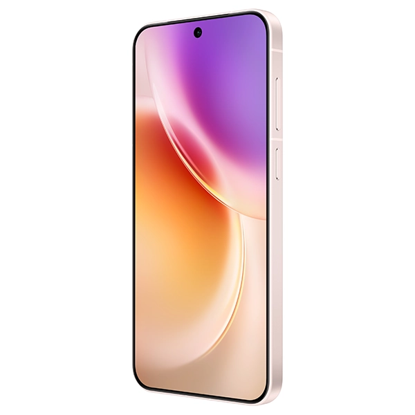 vivo X300